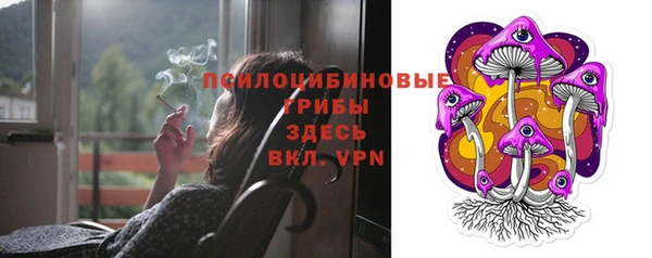 молекула духа Майский