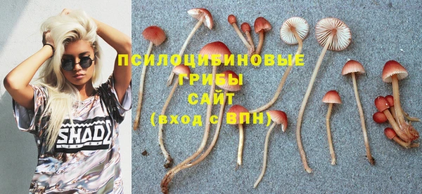 молекула духа Майский