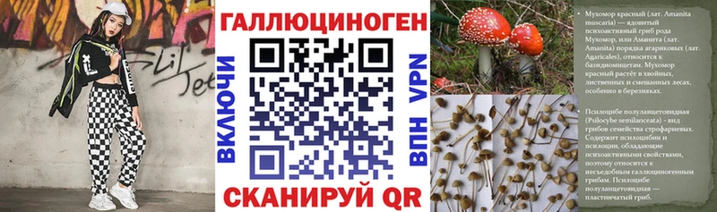 продажа наркотиков  Шатура  Псилоцибиновые грибы MAGIC MUSHROOMS 