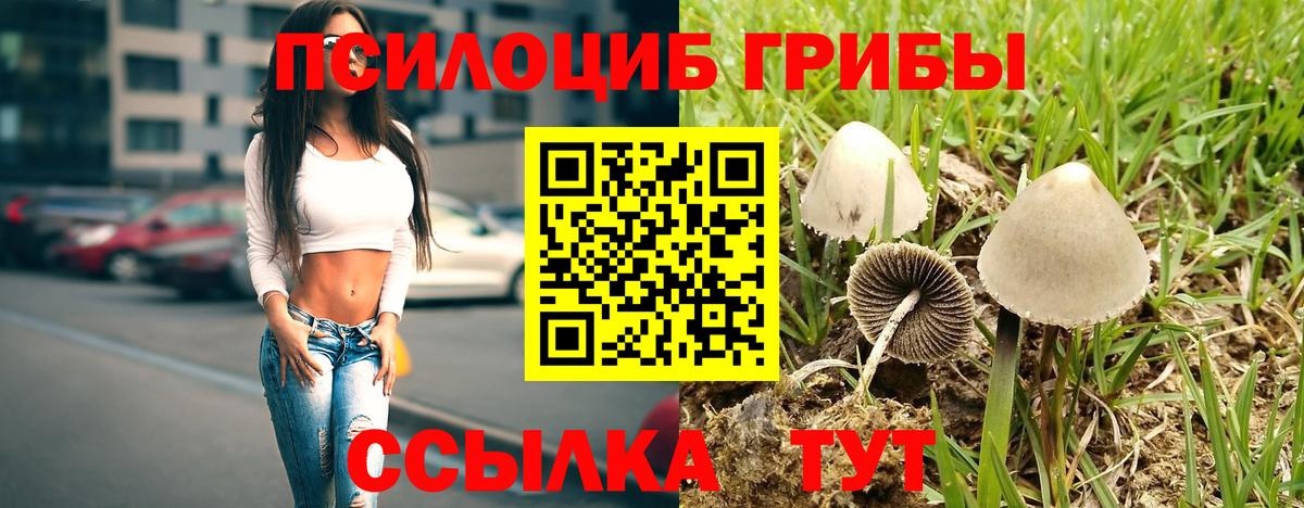 Псилоцибиновые грибы ЛСД  Галлюциногенные грибы Psilocybine cubensis  Шатура  Вход с VPN 
