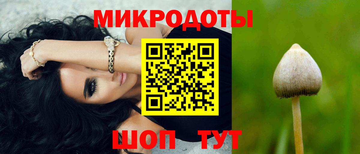 Псилоцибиновые грибы Psilocybine cubensis Шатура