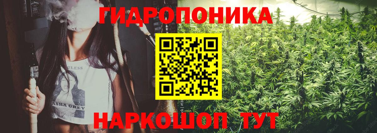 Бошки Шишки ГИДРОПОН  Каннабис OG Kush  Шатура 